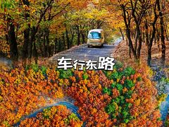 -沂蒙山旅游区龟蒙景区