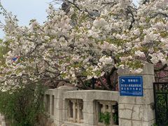 -旅顺博物馆