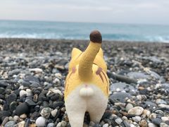 -七星潭蓝天广场