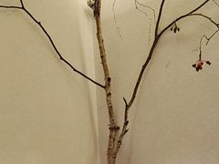 -可口香·非遗老号烧烤(南岗直营店)