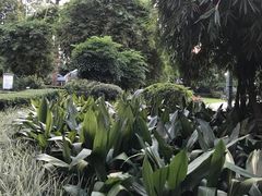 -晓港公园