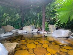 -台山颐和温泉城