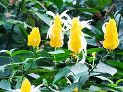 -北京植物园-展览温室