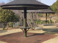 -梁鸿国家湿地公园