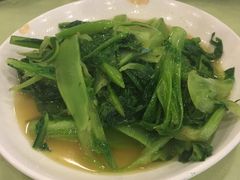 -曾牛肉