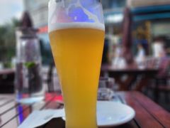 洛奇IPA琥珀自酿啤酒-MR.ROCKY洛奇先生RESTAURANT&BAR(宝安壹方城店)