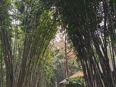 -成都杜甫草堂博物馆