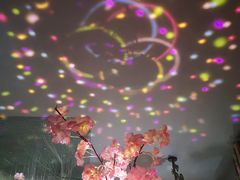 -忘忧草融合私房菜(红鼎国际店)