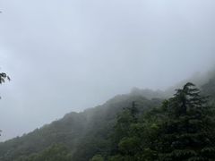 -西安祥峪森林公园