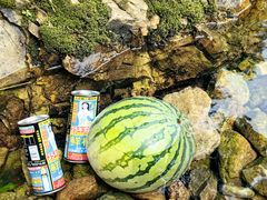 -北仑森林植物园