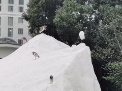 -香蜜公园