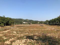 -红山村