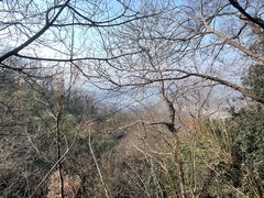 -紫金山山顶公园