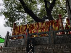 -大槐树寻根祭祖园