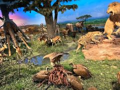 -国家自然博物馆