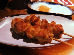 烤鸡肉-TINY
