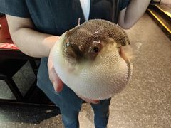 -永安鱼庄·镇江菜(东吴路店)