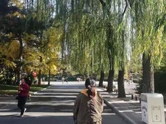 -大兴滨河森林公园