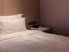-深圳温德姆至尊酒店