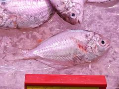 -金鹰潮汕鱼仔店(金鹰大厦店)