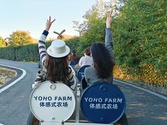 -军山湖云水间生态农业旅游景区