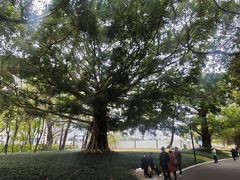 -南宁南湖公园