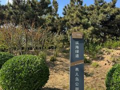 -燕儿岛山公园