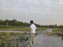-绿堤公园