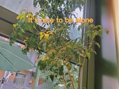 -稀物集咖啡(徽州大道店)