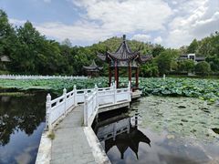 -青龙山国家森林公园