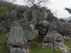 -千岛湖石林