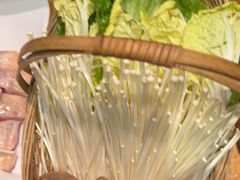 -同仁四季椰子鸡(福田车公庙店)