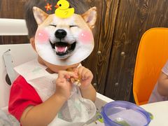 -喜上喜鸡煲翅(吉大店)