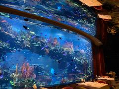 -迪拜帆船酒店海底餐厅