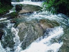-广州市石门国家森林公园