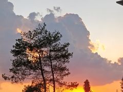 -武陵山森林公园