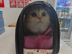 -北京观赏动物医院·24小时大型综合·猫专科·异宠专科