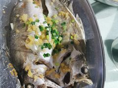 -石岐乳鸽村(南海第三分店)