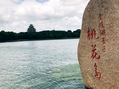 -金鸡湖桃花岛