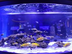 -上和臻品中国菜(花园街店)