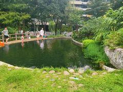 -成都市活水公园