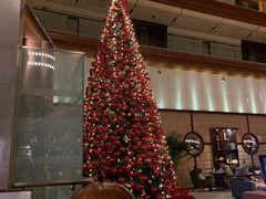 -苏州金鸡湖中茵皇冠假日酒店
