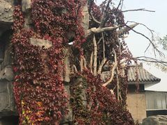 -阳台山自然风景区