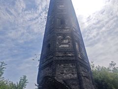 -上海佘山国家森林公园天马山园