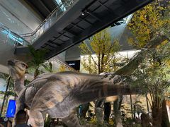 -湖南省地质博物馆