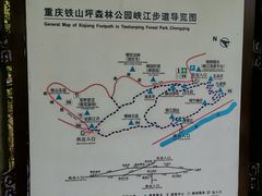 -铁山坪森林公园