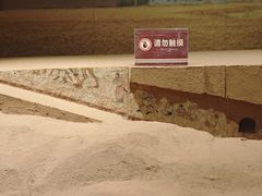 -洛阳古墓博物馆