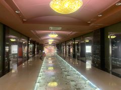 -青岛贝壳博物馆