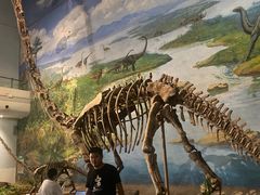 -自贡恐龙博物馆