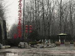 -合肥滨湖国家森林公园